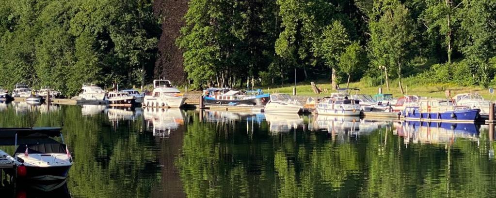 Cocooning Near Dinant 300M From River Meuse 布莱蒙 外观 照片