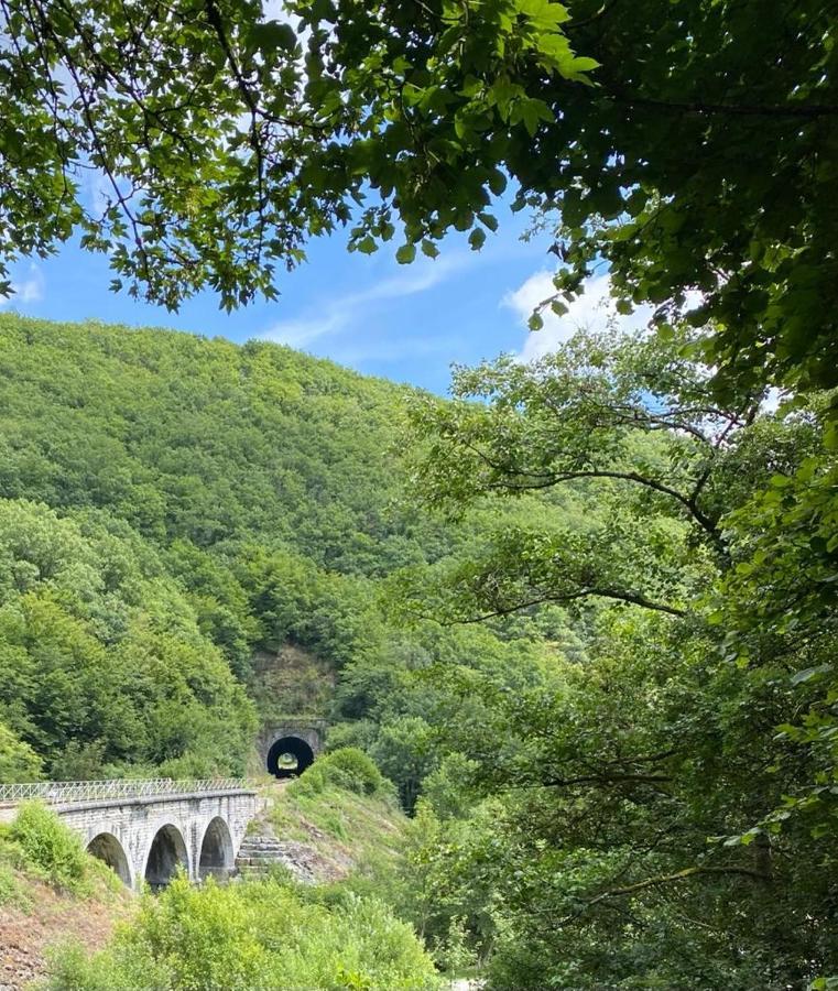 Cocooning Near Dinant 300M From River Meuse 布莱蒙 外观 照片